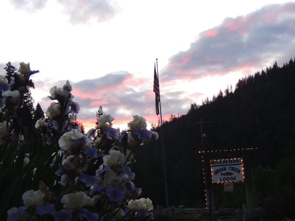 Indian Creek Lodge Douglas City Екстер'єр фото